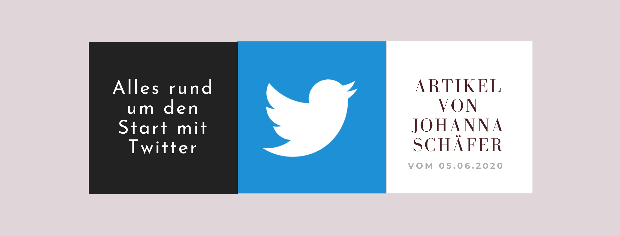 Read more about the article Alles rund um den Start mit Twitter